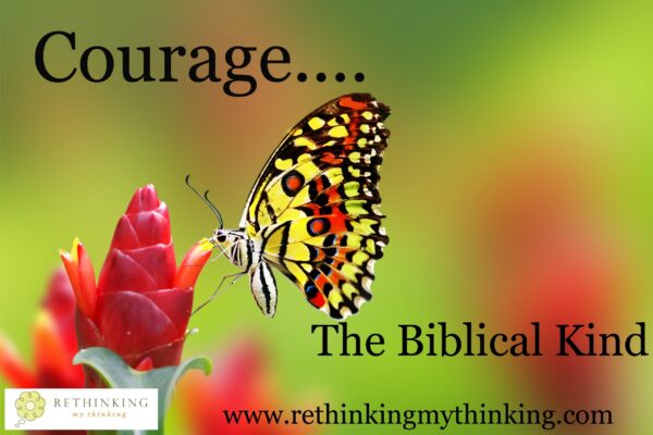 butterfly on many flowers