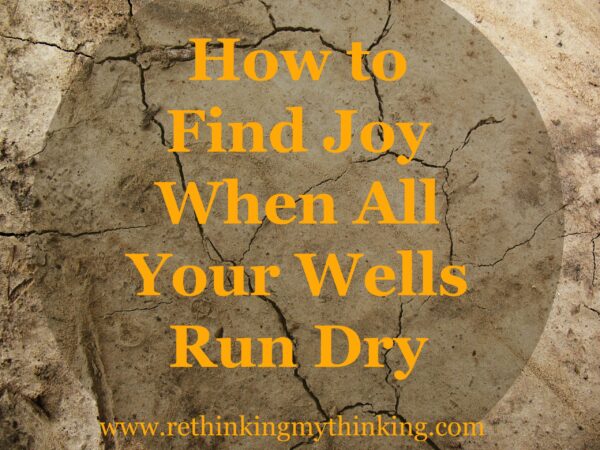 Joy Dry Well